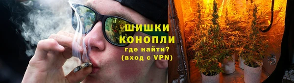 PSILOCYBIN Армянск