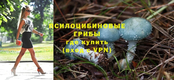 МДПВ Аркадак