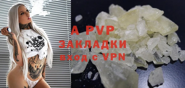PSILOCYBIN Армянск
