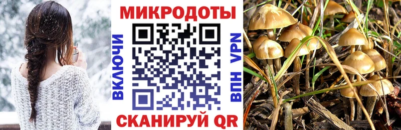 Псилоцибиновые грибы GOLDEN TEACHER  Макарьев 